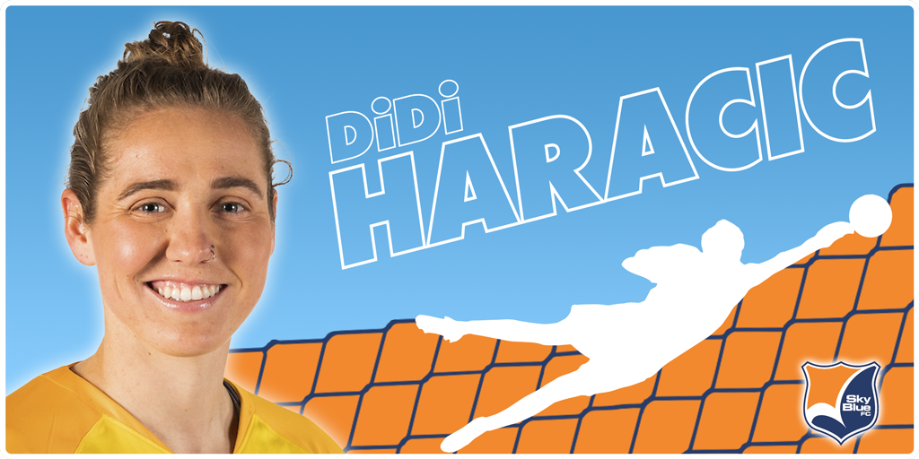 DiDi Haracic Header Image