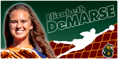 Elizabeth DeMarse Header Image